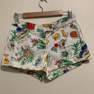 J Crew Shorts